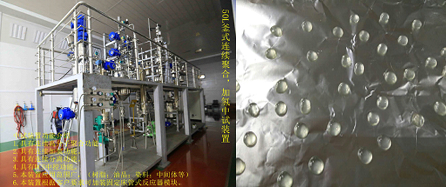 祝賀國內(nèi)首套釜式連續(xù)加氫中試成套裝置一次出料成功！.jpg